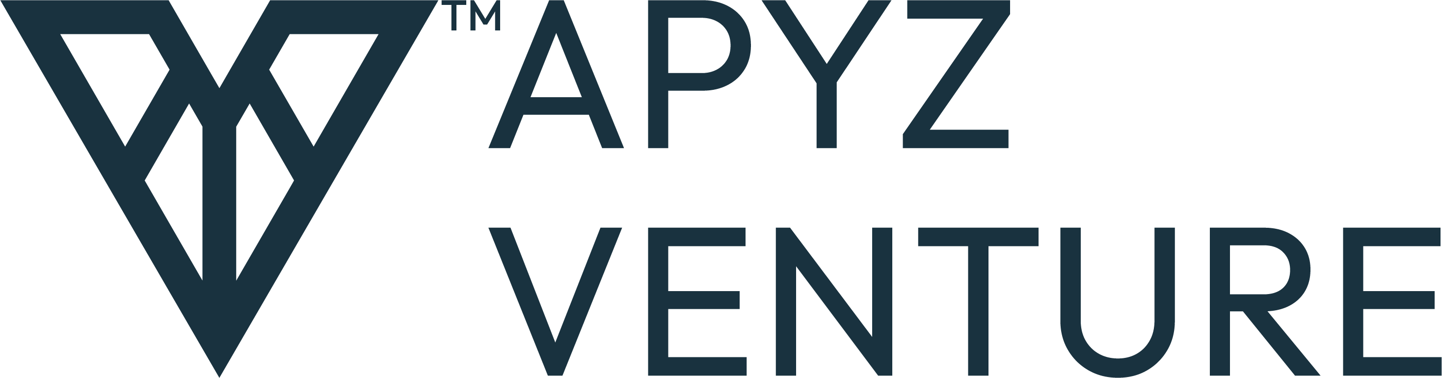 ApyzVenture logo