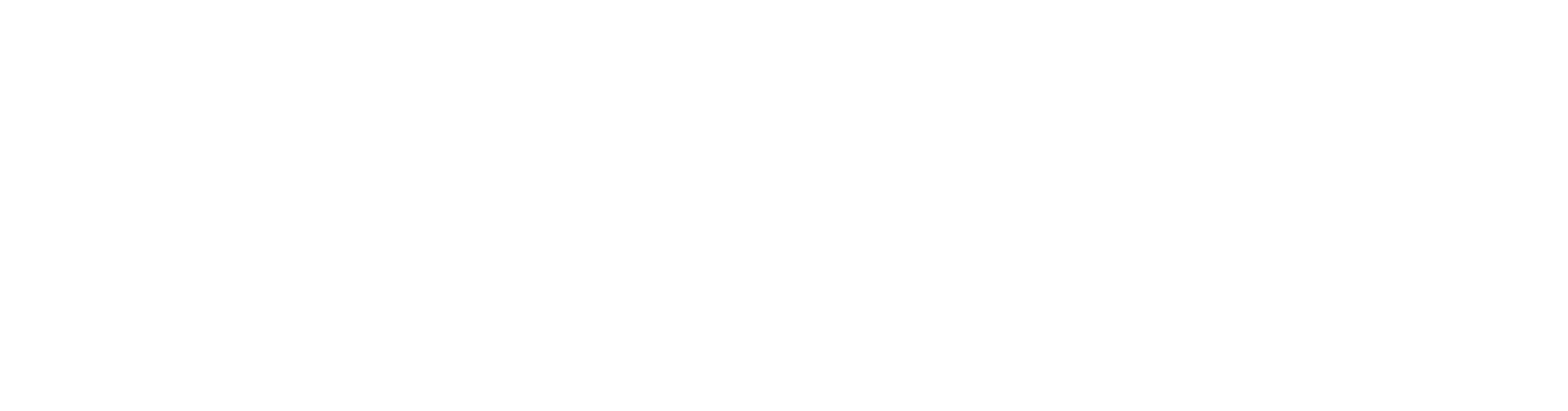 ApyzVenture footer logo